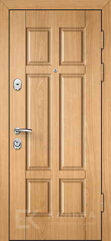 Фото «Дверь с шумоизоляцией №20»